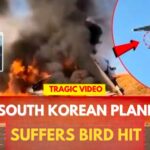South Korea Plane Crash