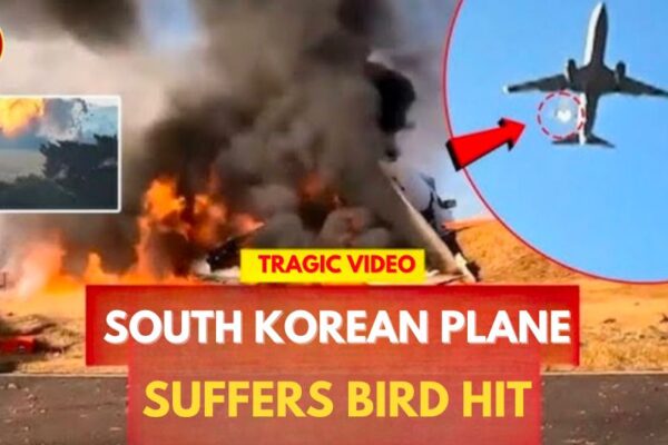 South Korea Plane Crash