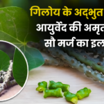 गिलोय के फायदे
