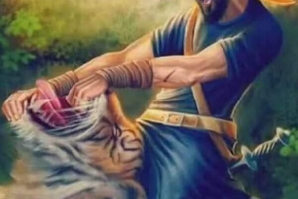 भारत के अद्भुत योद्धा: हरिसिंह नलवा की वीरगाथा हरिसिंह नलवा