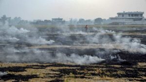 प्रदूषण के प्रमुख कारणों में सबसे आगे है पराली जलाना